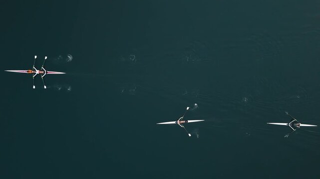 Aerial Kayaks And Rowboats Halifax Bay Canada Athletes Training In Groups Single And Double Boats Calm Ocean Water Sport Practice 4K 