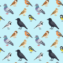 Seamless pattern with common European garden birds. Flat vector wildlife design for fabric, wrapping paper, stationery and decor. © evgenia_lo