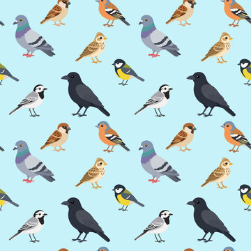 Seamless pattern with common European garden birds. Flat vector wildlife design for fabric, wrapping paper, stationery and decor.