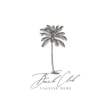 Hand drawn palm tree logo design template for beach club