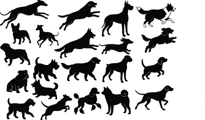 Fototapeta premium Vector collection of diverse purebred dog silhouettes in active poses running jumping and standing isolated on white