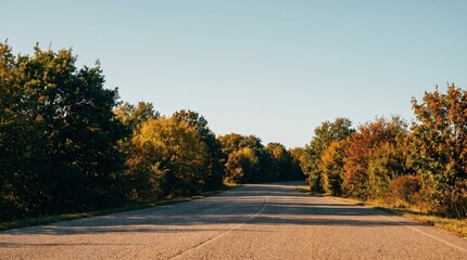 Fototapeta premium Empty asphalt road winding through autumn forest landscape at golden hour, scenic countryside travel route with colorful fall foliage trees, peaceful nature journey background