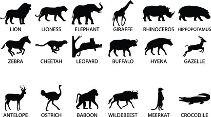 Set of black silhouettes of African wild animals with labels for education design isolated on white background image_48a200.png © MdSaiful