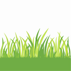 Fototapeta premium Green Grass Border with White Background