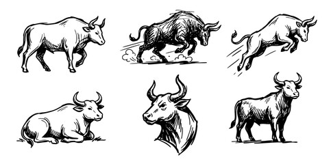 Bull Logo Collection Set - Hand Drawn Sketch of Charging Running Jumping Standing Lying Down and Head Bulls - Ox Mascot Vector Emblem Badge Pack for Finance and Sports Branding © supergaff