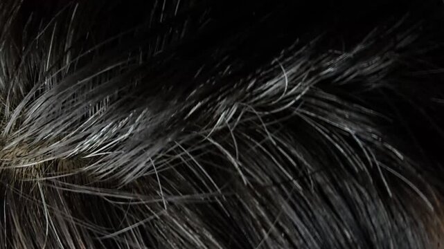 Close-up of hair strands in natural light showing texture and color variations during afternoon hours