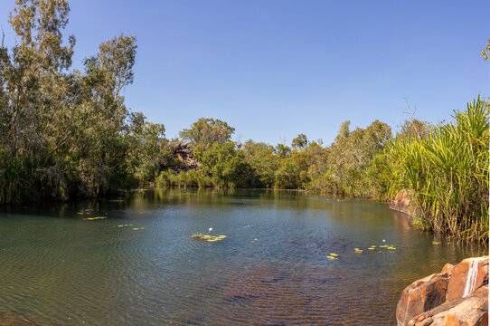 The bilabong above the Moran Falls in the Mitchell River National Park.