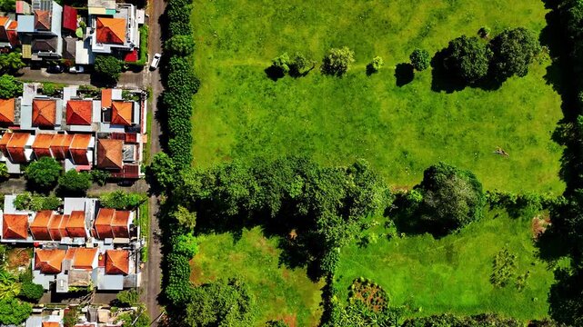 Top-down aerial view of the border between a residential neighborhood and a verdant park