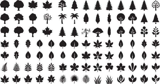 Tree shapes and botanical leaves vector icon set