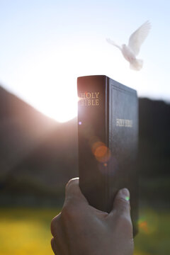 Christian holding the holy Bible, the Word of God, and the dove of the Holy Spirit, background of religion, faith, and belief
