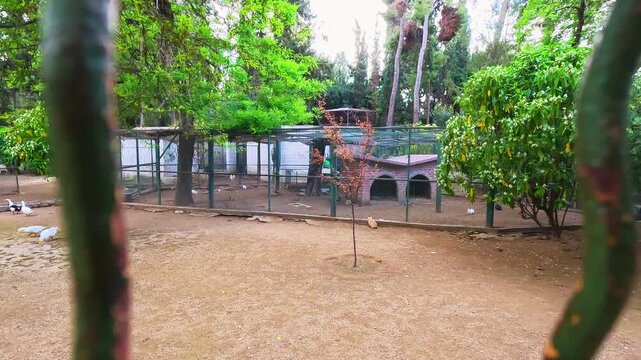 Attica Zoological Park in Athens, Greece with fence enclosure for exotic tropical birds, cat hunting for bunny rabit captive wildlife