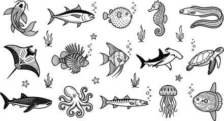 Sea life doodle vector icon set featuring line art sharks sea turtles octopuses manta rays seahorses and tropical reef fish for ocean graphic designs © MdMahfuj