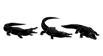 Naklejka premium Three black alligators in profile.