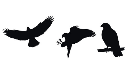 Fototapeta premium Three Black Silhouette Birds Flying.