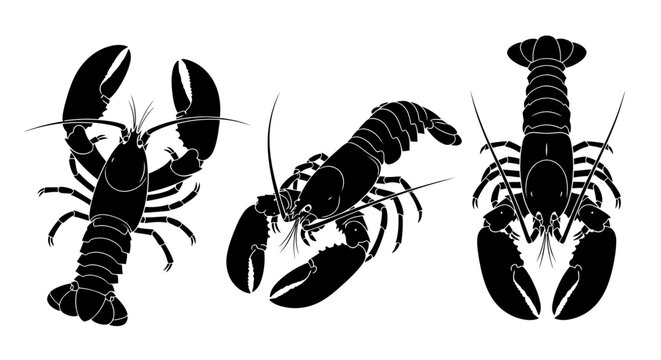 Three black silhouette lobster crustaceans side.
