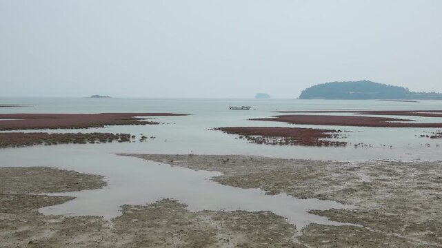 Tidal flat low tide time lapse water draining mudflat Gaetgol channels landscape 대한민국 한국 서해안 남해안 갯벌 썰물 물빠지는 미속 타임랩스 영상 갯골 바다 해변 해안선 진흙 모래 지형 자연 환경 생태계 과학 관찰 지질 학문 드론 항공 촬영 탑뷰 웅장한 풍미 풍경 여행지 관광지 명소 아날로그