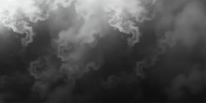 Foggy mountains forest mist dark cloudy weather abstract nature scene