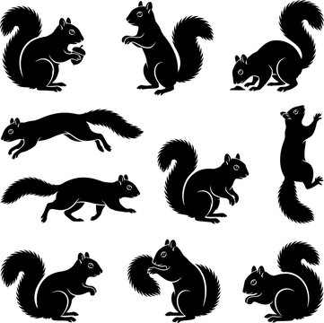 Squirrel silhouettes set in multiple poses with squirrel