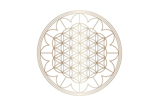 A golden geometric flower of life symbol with intricate circular patterns and symmetrical lines isolated on a solid black background