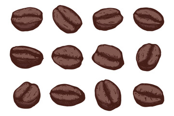 Fototapeta premium Set of hand drawn fresh roasted coffee bean Arabica robusta seed doodle Single element for design print packaging label decor