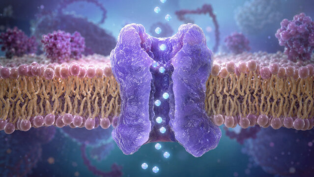Animated ion channel protein opening across lipid bilayer membrane with luminous particle transfer, neuroscience signaling concept in pharmaceutical biotechnology