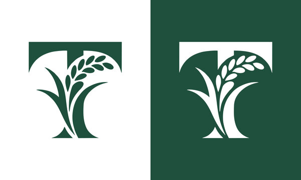 Letter t logo concept featuri...