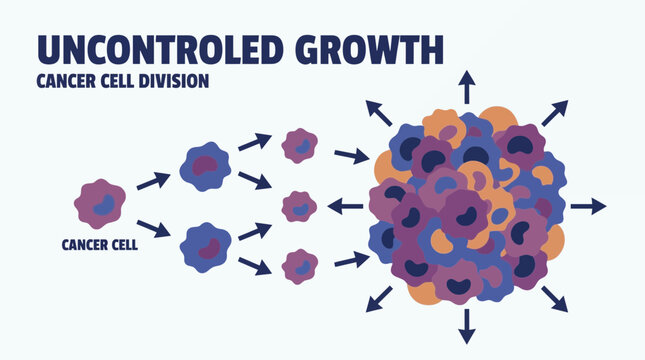 Cancer Cell Division Uncontrolled Growth