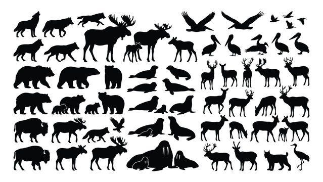 Comprehensive animal silhouette set features a diverse array of woodland and marine species arranged in a structured layout.