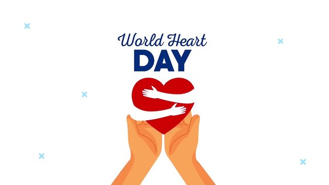 World Heart Day greeting animation with human hands holding a hugged red heart on a white background.