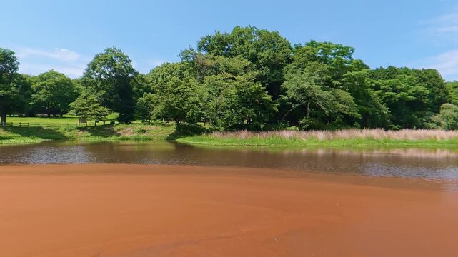 Redish brown pond water caused by plankton bloom, natural phenomenon