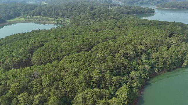 Drone Flight Revealing Tuyen Lam Lake From Pine Forest With Tourist Boats in Da Lat, Vietnam