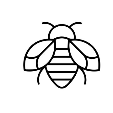 Bee Icon