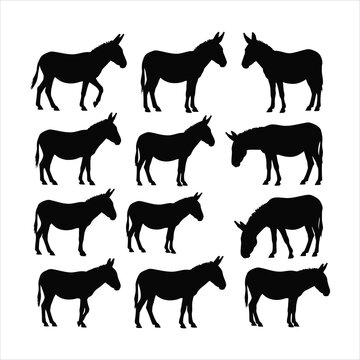 Black donkey silhouettes on white background