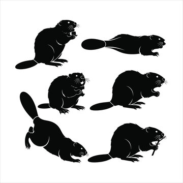 Black beaver silhouettes on white background