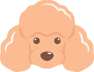 Obraz premium Fluffy poodle dog face portrait illustration