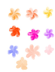 Obraz premium set of flowers