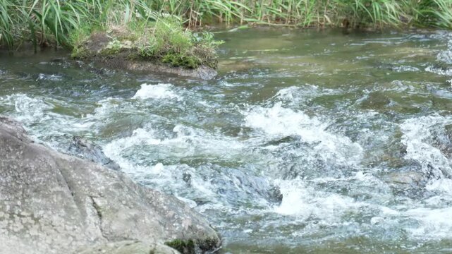 岩肌を白く泡立ちながら流れる川の急流 4K（スローモーション）
