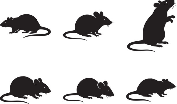 mouse, rat, silhouettes, large, pack, vector, silhouette, design,