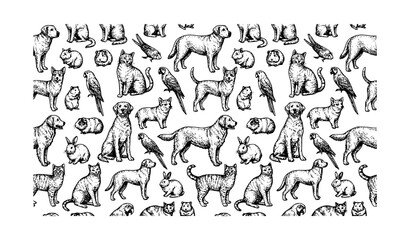 Dinosaurs seamless pattern background with hand drawn engraved style prehistoric monsters and text names vector illustration © Shahanaj