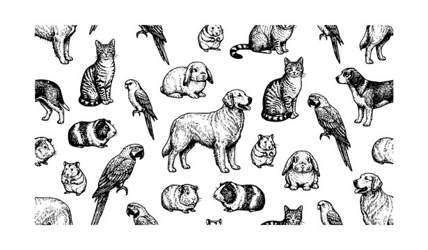 Seamless pattern with hand drawn domestic pets, cats, dogs, parrots, guinea pigs and hamsters, black and white vector illustration