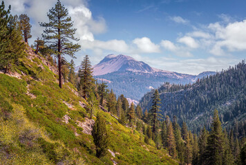 Sierra Nevada mountain valley with pine forest and rugged peaks under clear blue sky in California wilderness. © The Hiker's Eye