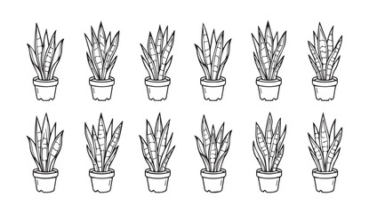 Fototapeta premium Potted Snake Plants in a grid pattern against a white background symbolizing growth and organization