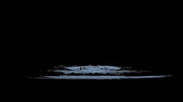 Crocodile head emerging from dark water with glowing green eyes in this realistic cinematic 3D animated motion video clip