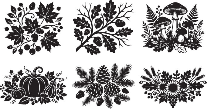 Autumn leaves, floral icons, black vector illustrations, seasonal clip art, fall decorations