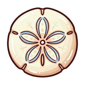 A light cream colored sand dollar with star patterns and blue accents rests on a white background