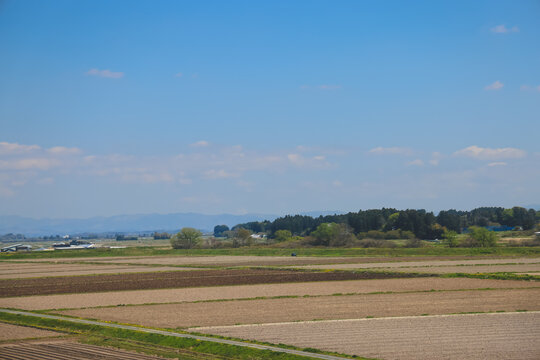 April 25 2026 Utsunomiya Rural Farmland Under Clear Sky