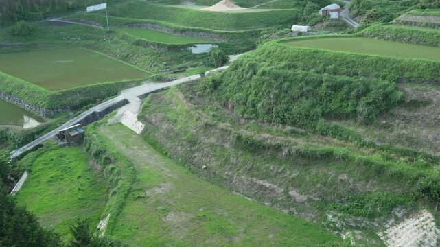 緑豊かな美しい日本の棚田の風景 4K（固定撮影）
