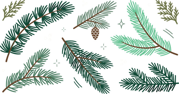 Pine and Fir Tree Branch Vector Element Set with Spruce Needles and Cones for Winter Christmas Holiday Celebrations Seasonal Backgrounds and Botanical Designs