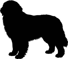 Obraz premium A dog stands in profile view on a plain background in a vector illustration.