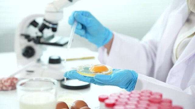 Scientist testing egg samples in a food safety laboratory, performing quality control, contamination screening, and nutritional analysis to ensure consumer health and product standards